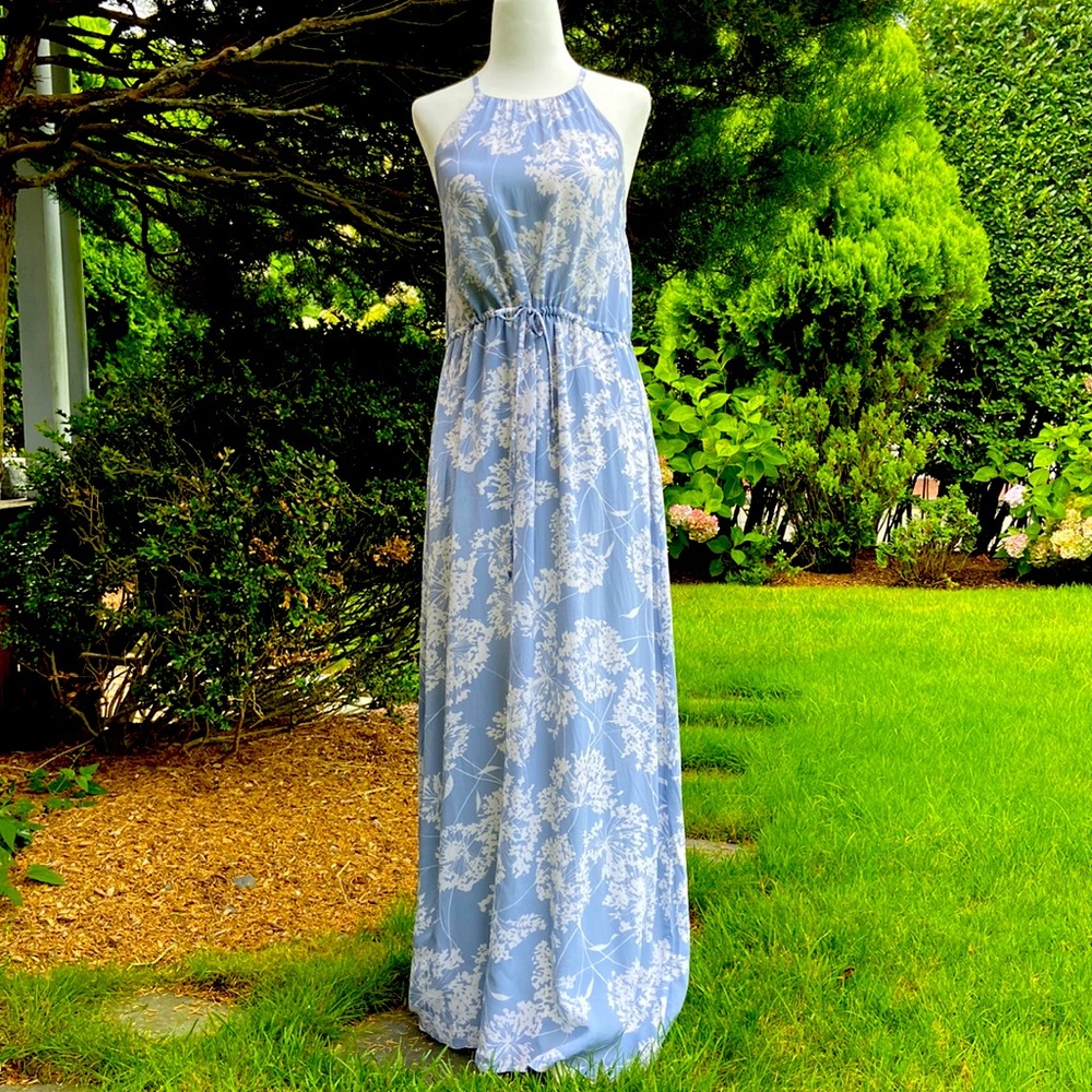 Hydrangea Print Silk Chiffon Maxi Dress